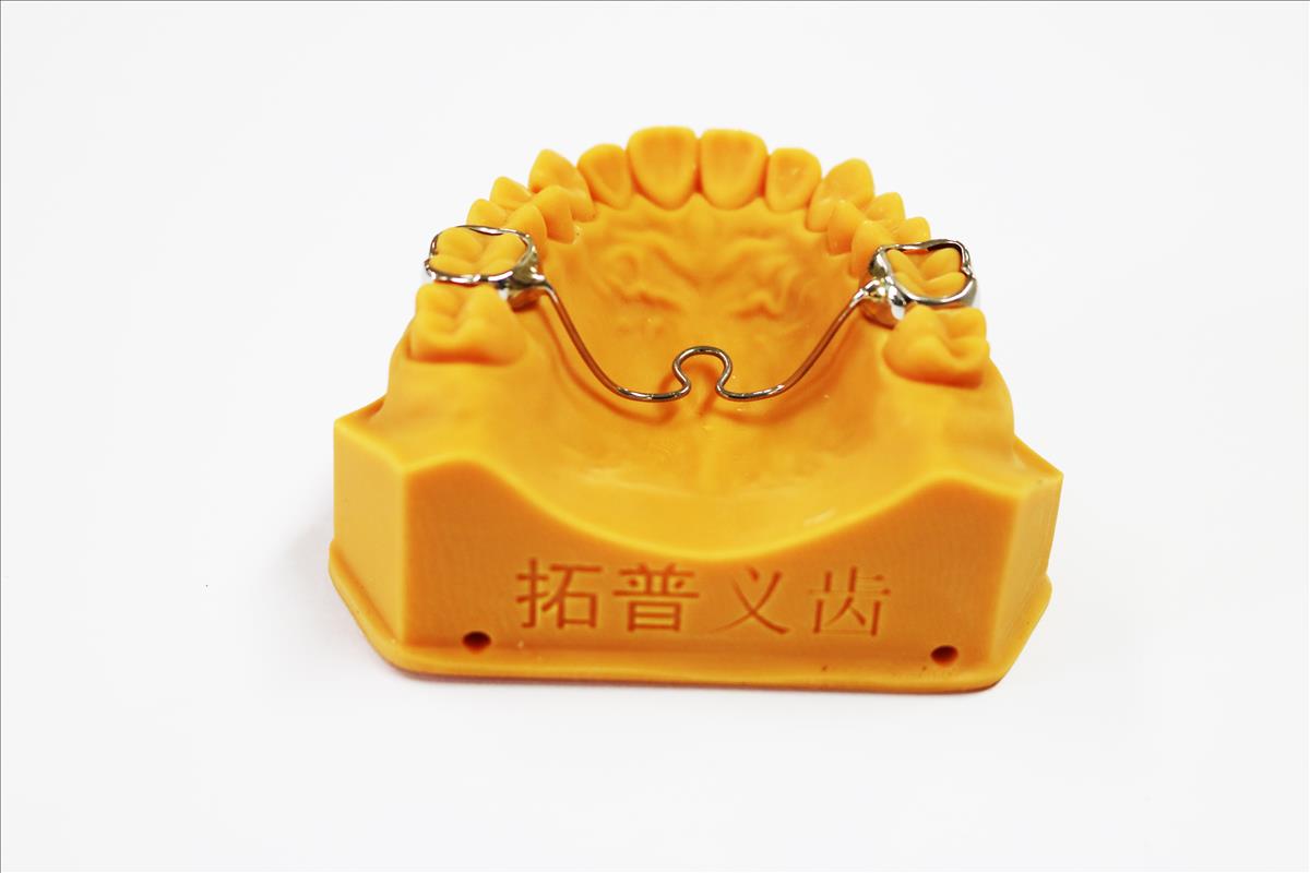 横腭杆/TPA腭杆